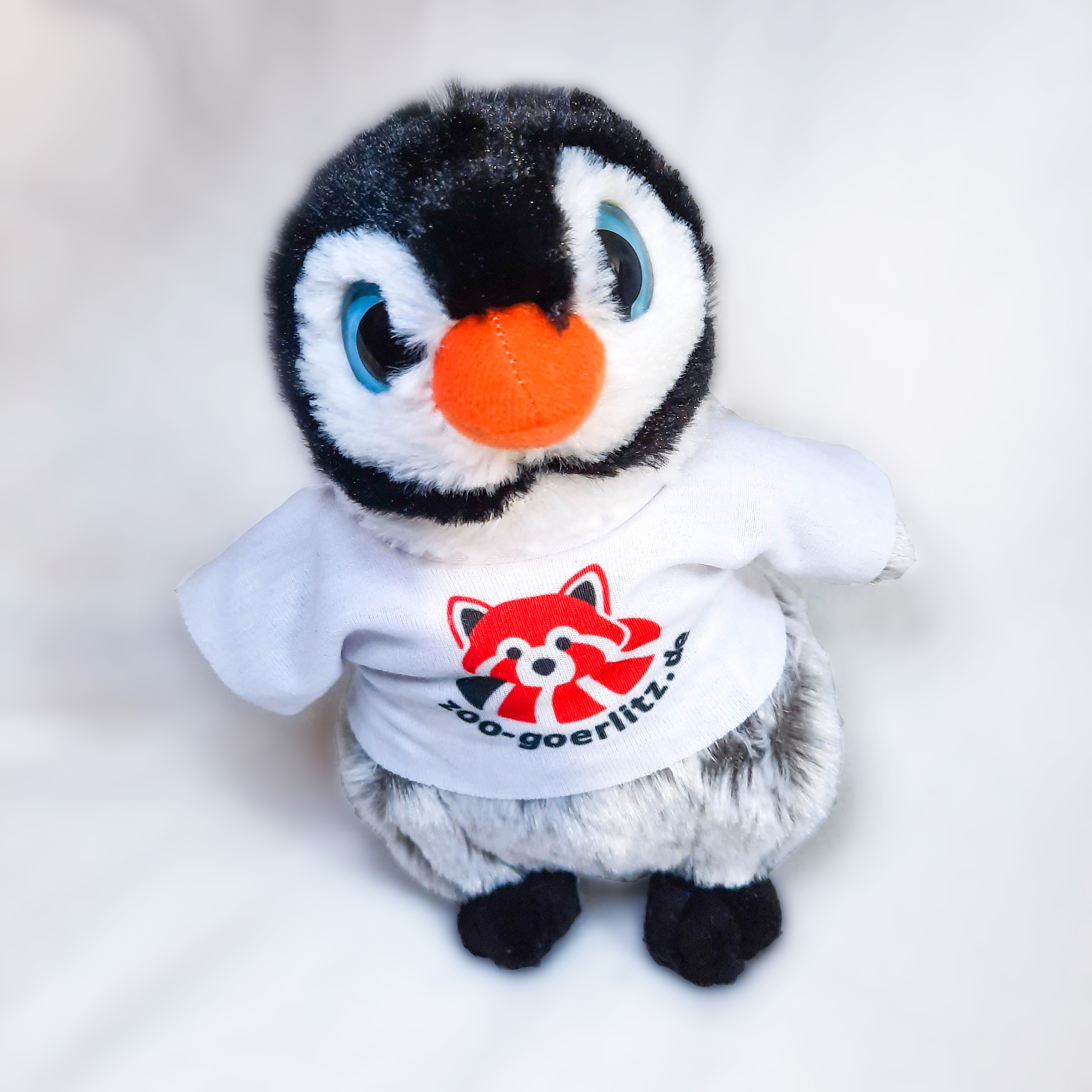 Pinguin mit T-Shirt