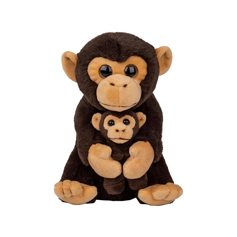 Schimpanse  mit Baby