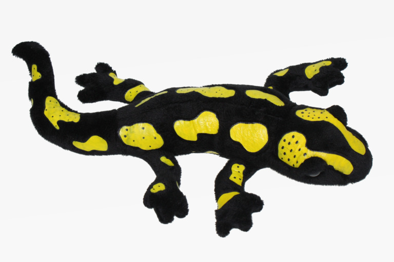 Gecko klein (schwarz-gelb)