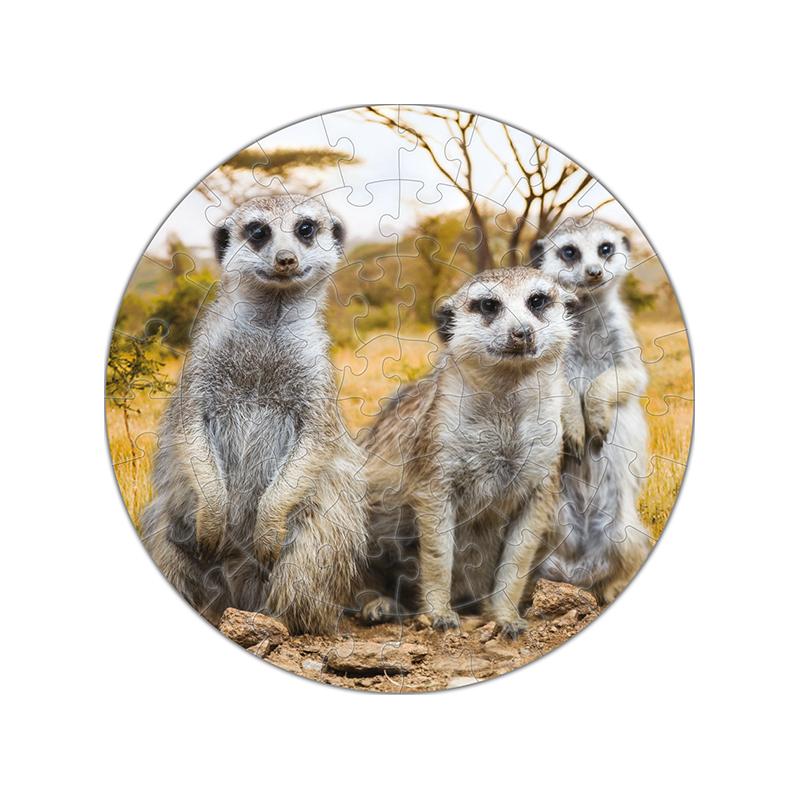 Puzzlespiel Erdmännchen rund 56 Teile