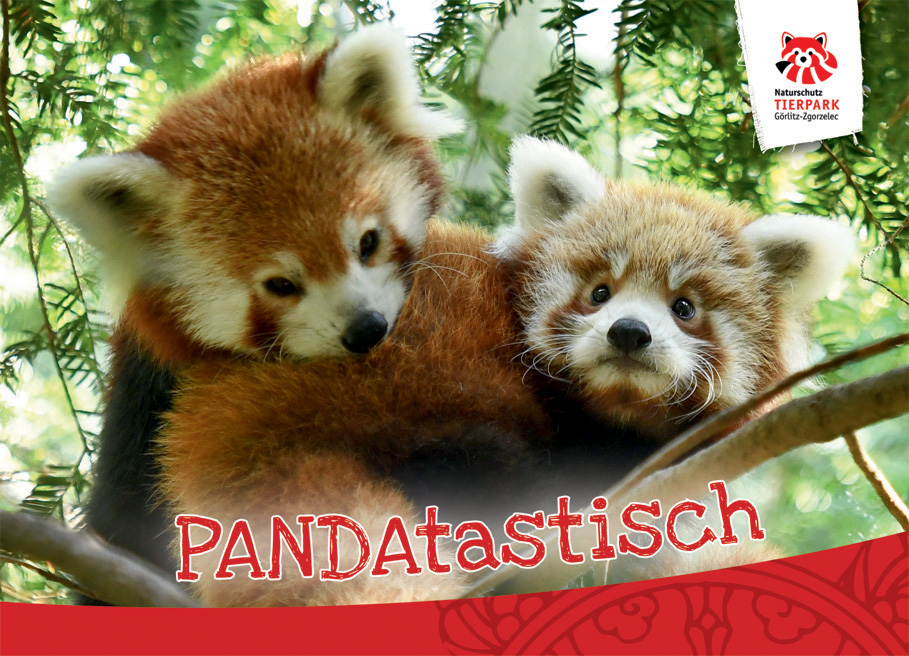 Postkarte Roter Panda - PANDAtastisch