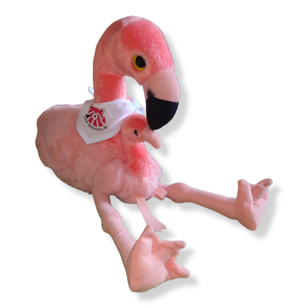 Flamingo mit Baby