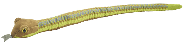 Schlange Olive Sea Snake