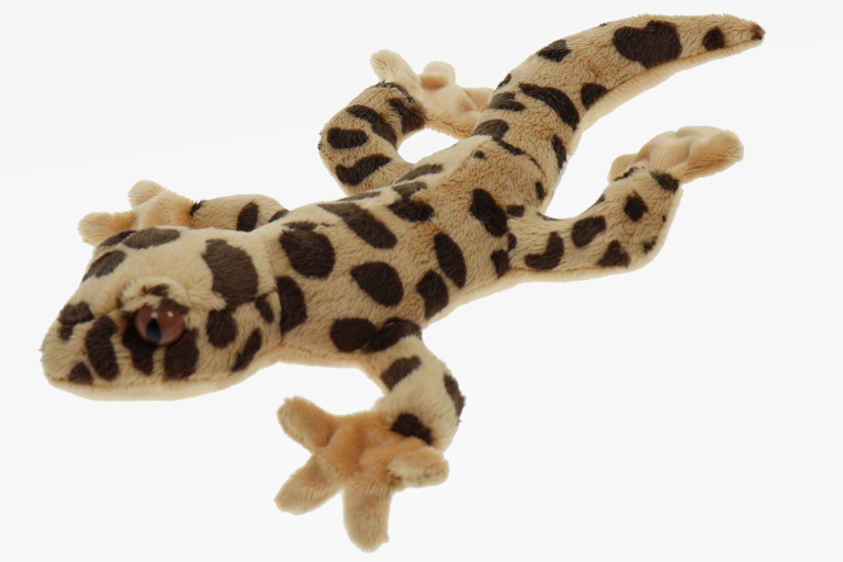 Gecko klein (braun)