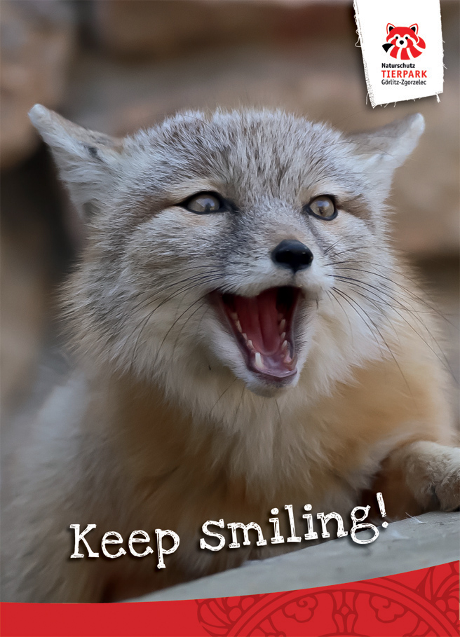 Postkarte Steppenfuchs - Keep Smiling!