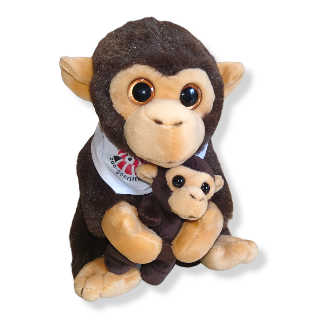 Schimpanse  mit Baby