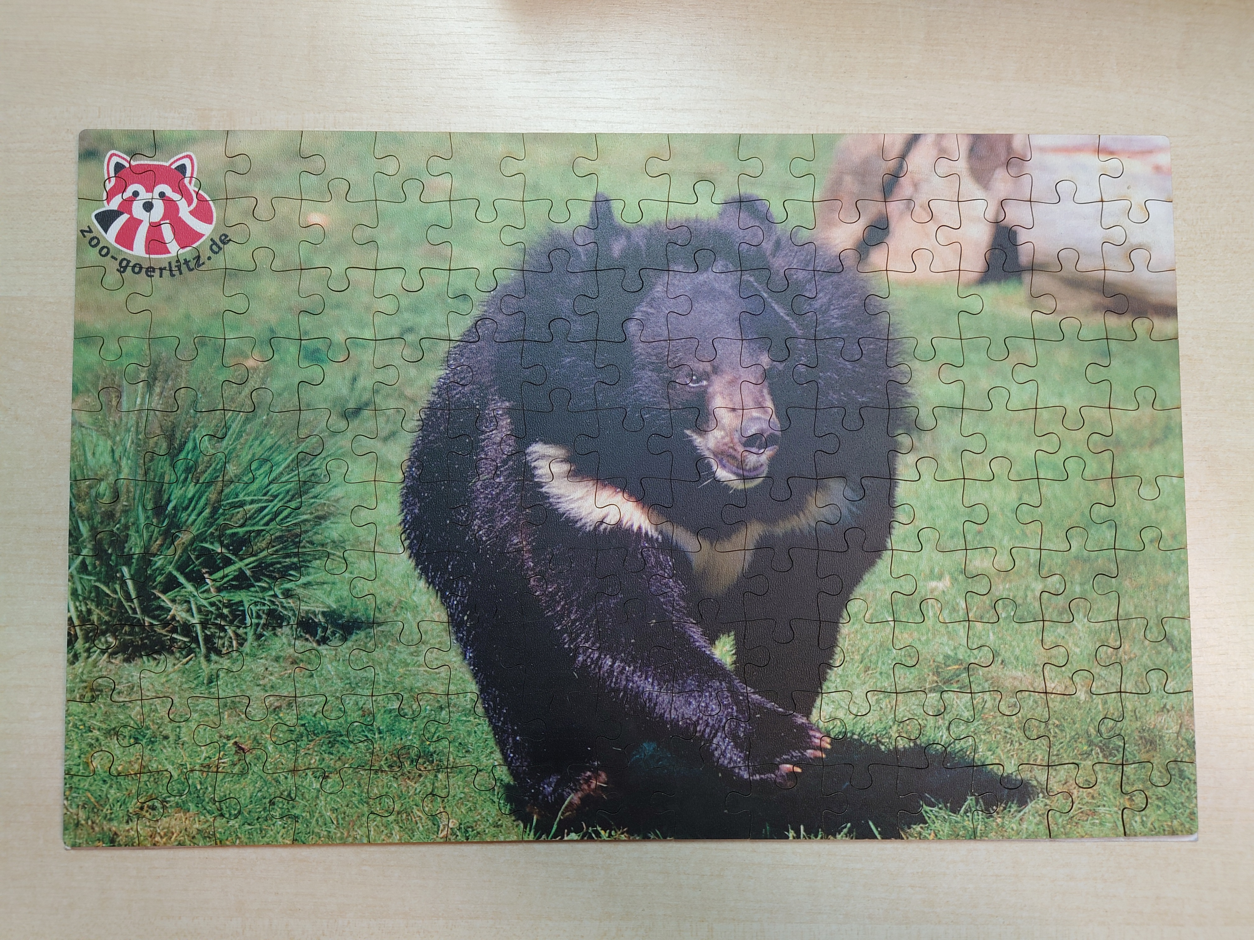 Puzzle ZooGR Tibetbär auf dem Baum
