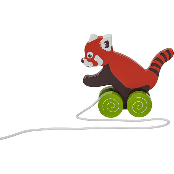  Roter Panda-Zugtier
