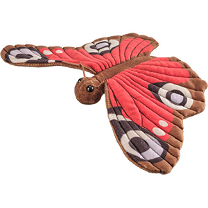 Pfauenauge Schmetterling