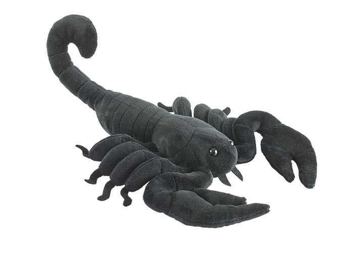 Schwarzer Skorpion