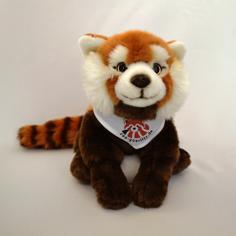 Plüschtier Roter Panda mit Halstuch oder T-Shirt, groß (38 cm)