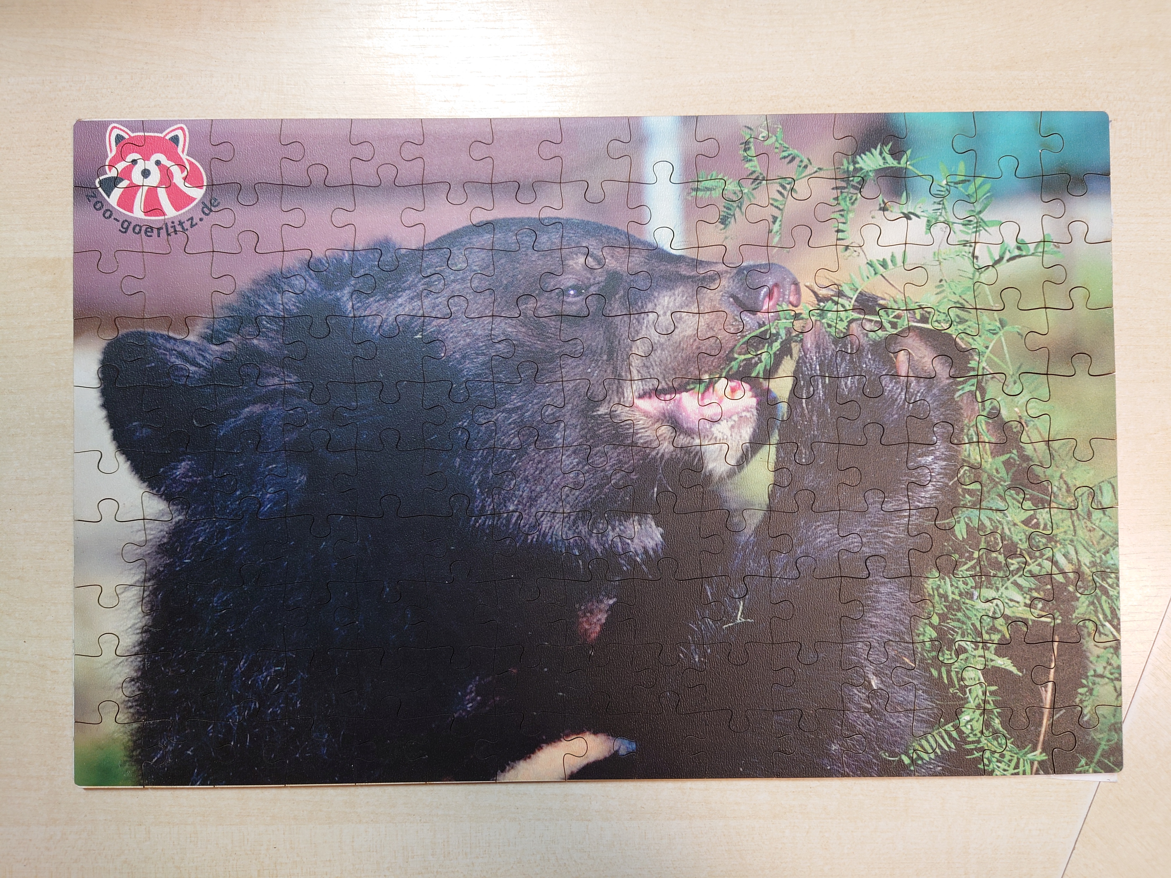 Puzzle ZooGR Tibetbär beim fressen