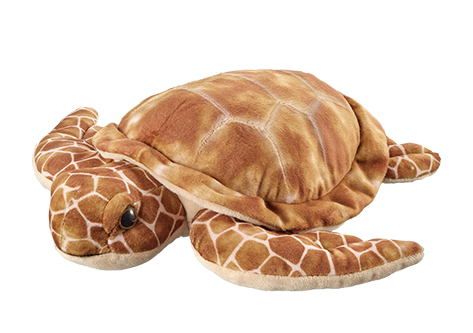 Unechte Karettschildkröte (Nature Friends)