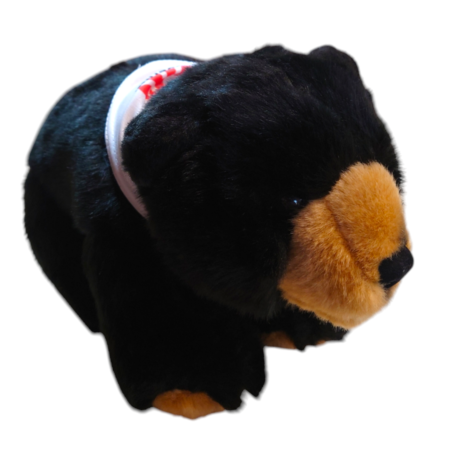 Görlitzer Kuschelbären Plan L