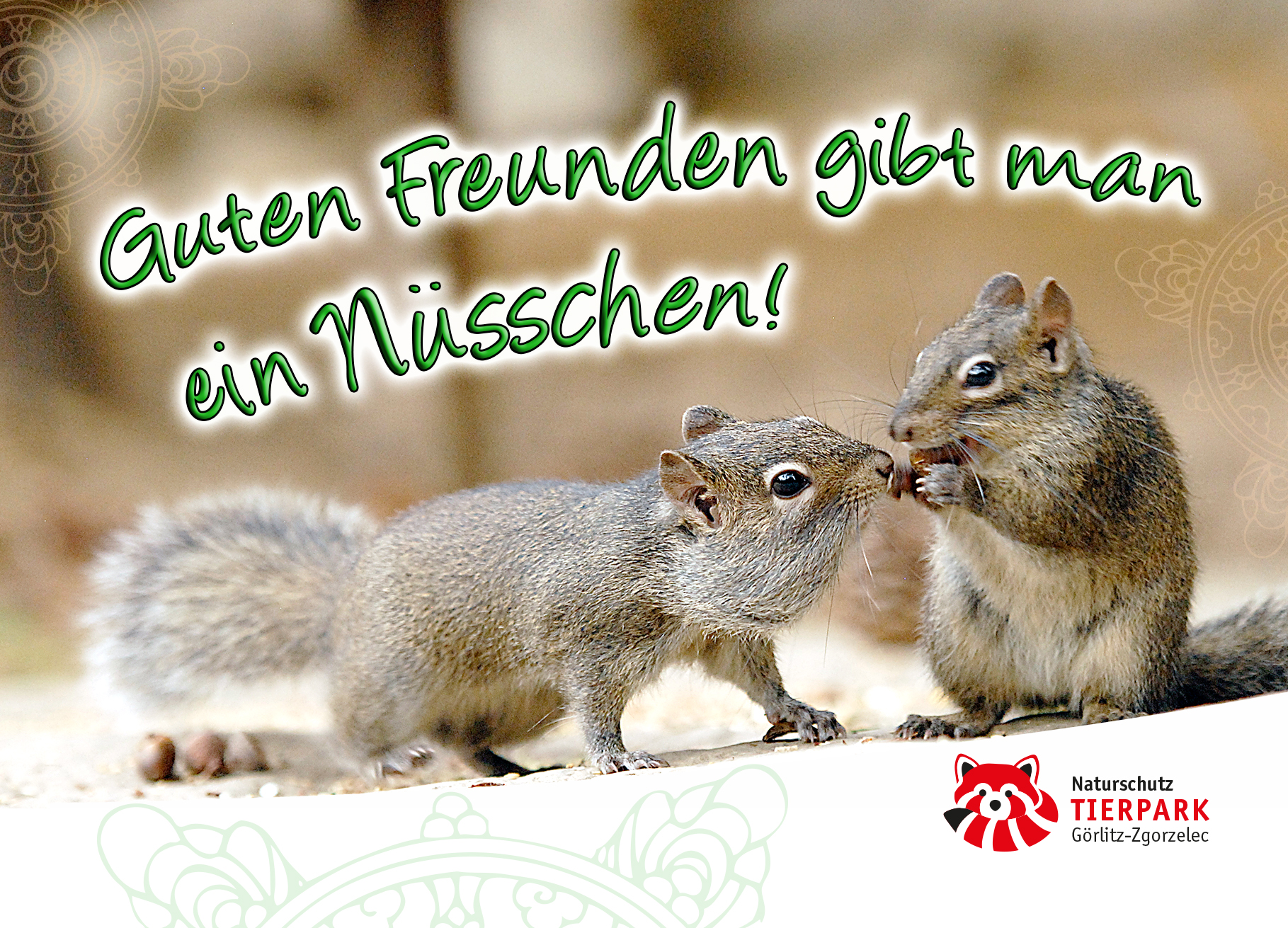 Postkarte Hörnchen: Guten Freunden