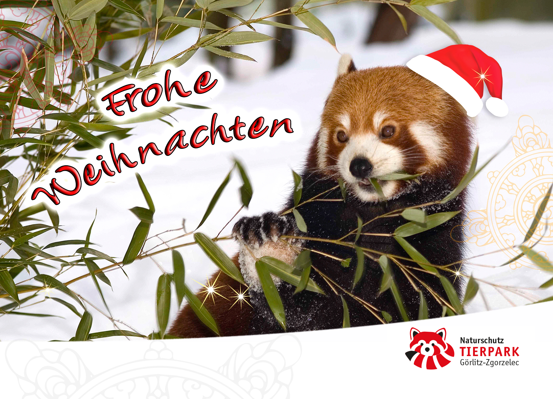 Postkarte Roter Panda: Frohe Weihnachten